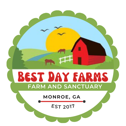 farm logo scallop trans